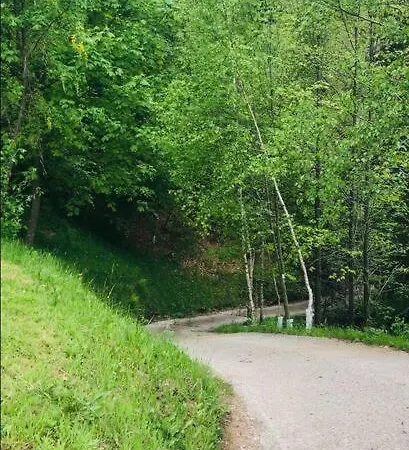 Chalet Baita Nel Cuore Della Carnia